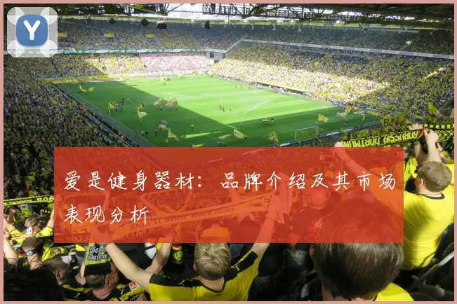 爱是健身器材:品牌介绍及其市场表现分析