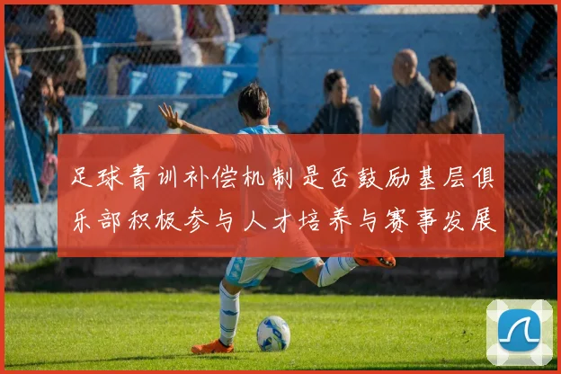 足球青训补偿机制是否鼓励基层俱乐部积极参与人才培养与赛事发展