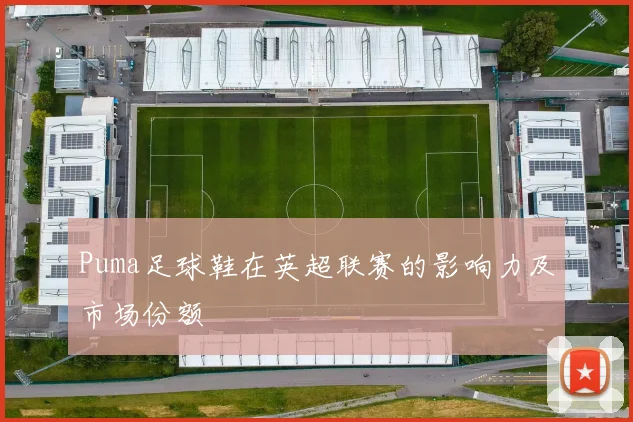 Puma足球鞋在英超联赛的影响力及市场份额