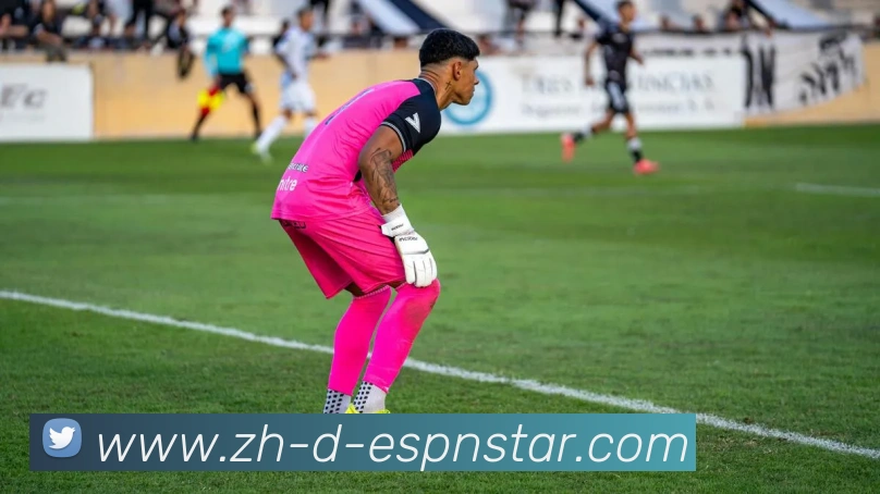 五大联赛直播平台生态图